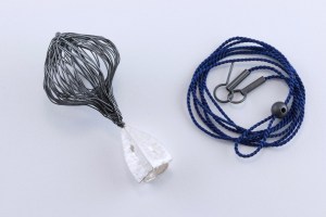 sita falkena draadkokon met zaaddoos